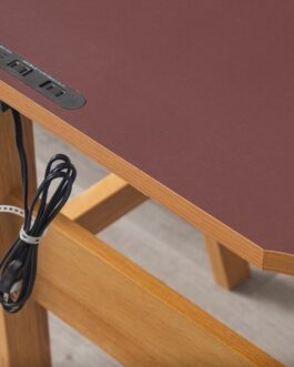 【幅100cm】天然の抗菌作用 リノリウム天板の学習デスク<リノ/バーガンディ>