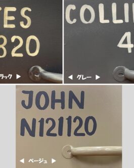 使うと雰囲気の良くなるスチールチェスト ＜ienowa/縦型3杯引出チェスト　MSG BE色＞