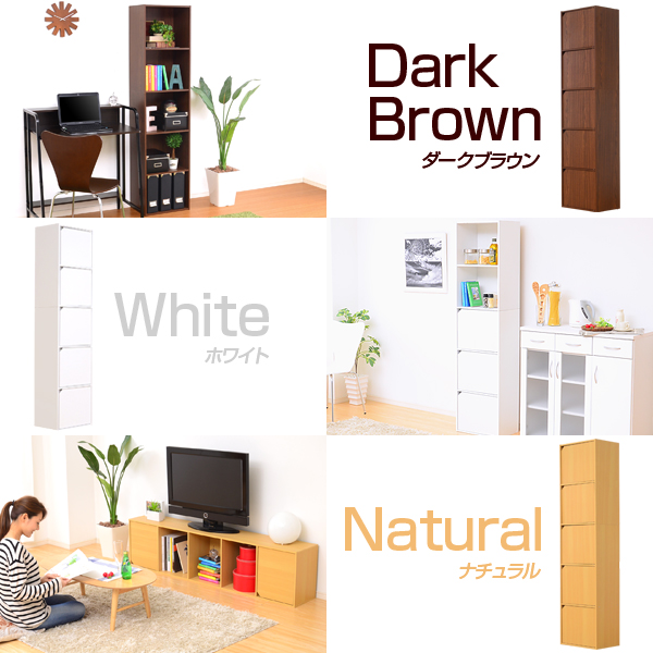 A4サイズ収納OK!扉付きカラーボックス【-5ivox-フィボックス】 - 画像 (3)