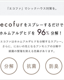 エコファシックハウス対策スプレー(300mlタイプ)有害物質の分解、抗菌、消臭効果【ECOFUR】単品