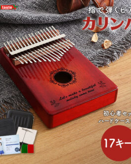 指で弾くピアノ カリンバ初心者セット 絵柄付きタイプ ハードケースつき