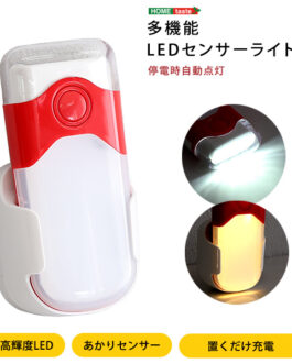 多機能 LEDセンサーライト