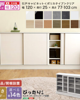 【引戸シリーズ】セミオーダーカウンター下収納ぴったりくん キャビネット(ポリカタイプ クリア) 幅120cm×奥行25cm