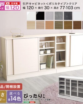 【引戸シリーズ】セミオーダーカウンター下収納ぴったりくん キャビネット(ポリカタイプ クリア) 幅120cm×奥行30cm